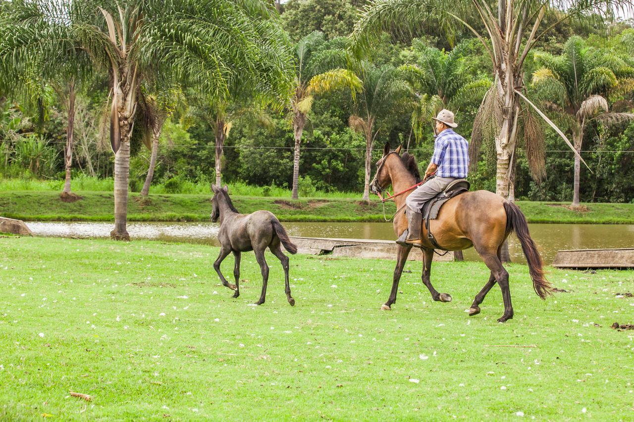 Hotel Fazenda Igarapes 外观 照片